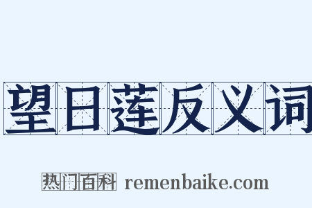 望日莲反义词是什么意思的图片